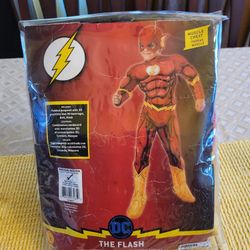 Halloween Costume The Flash