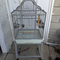 Bird Cage