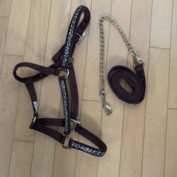Leopard Horse Halter & Matching Lead Rope