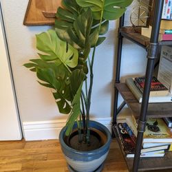 Fake Monstera Plant In Genuine Planter Pot