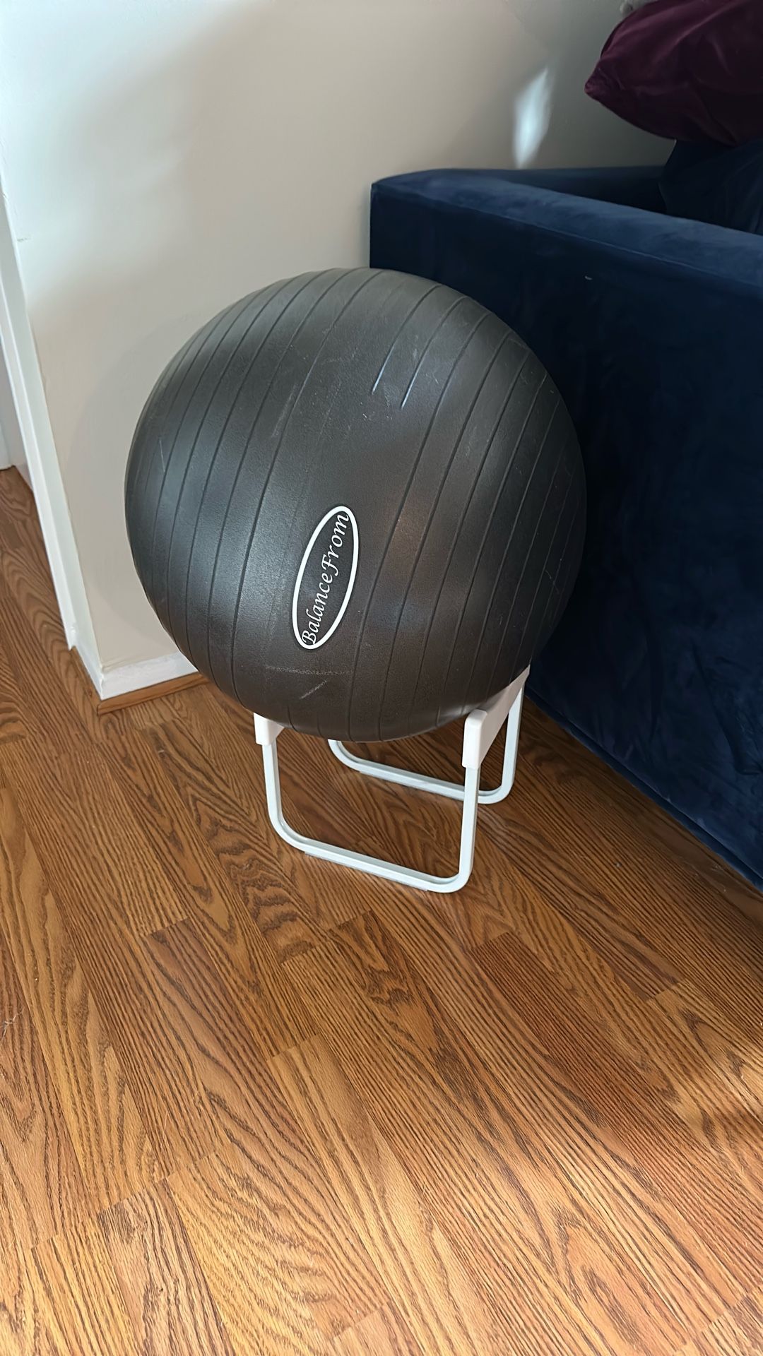 Exercise Ball & Holder