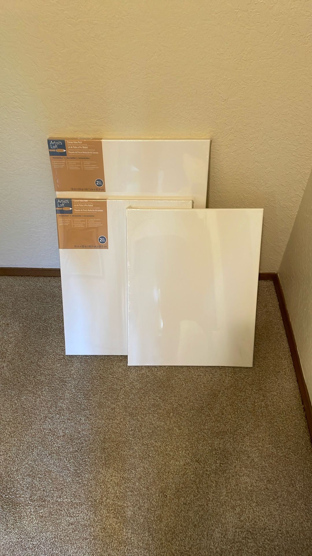 5 Blank Canvases - Unopened