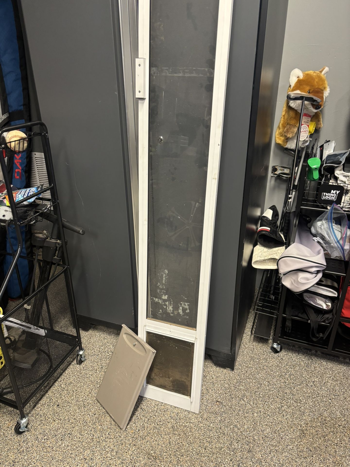 Dog door