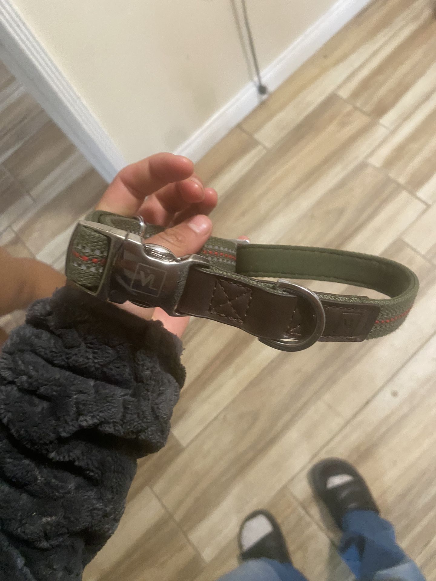 Dog Collar