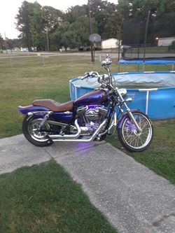 2006 Harley Davidson 1200 Sportster Flip Flop Custom Paint Big Boy Camm Vance Hince Pipes Custom Lights And Seat And Radio