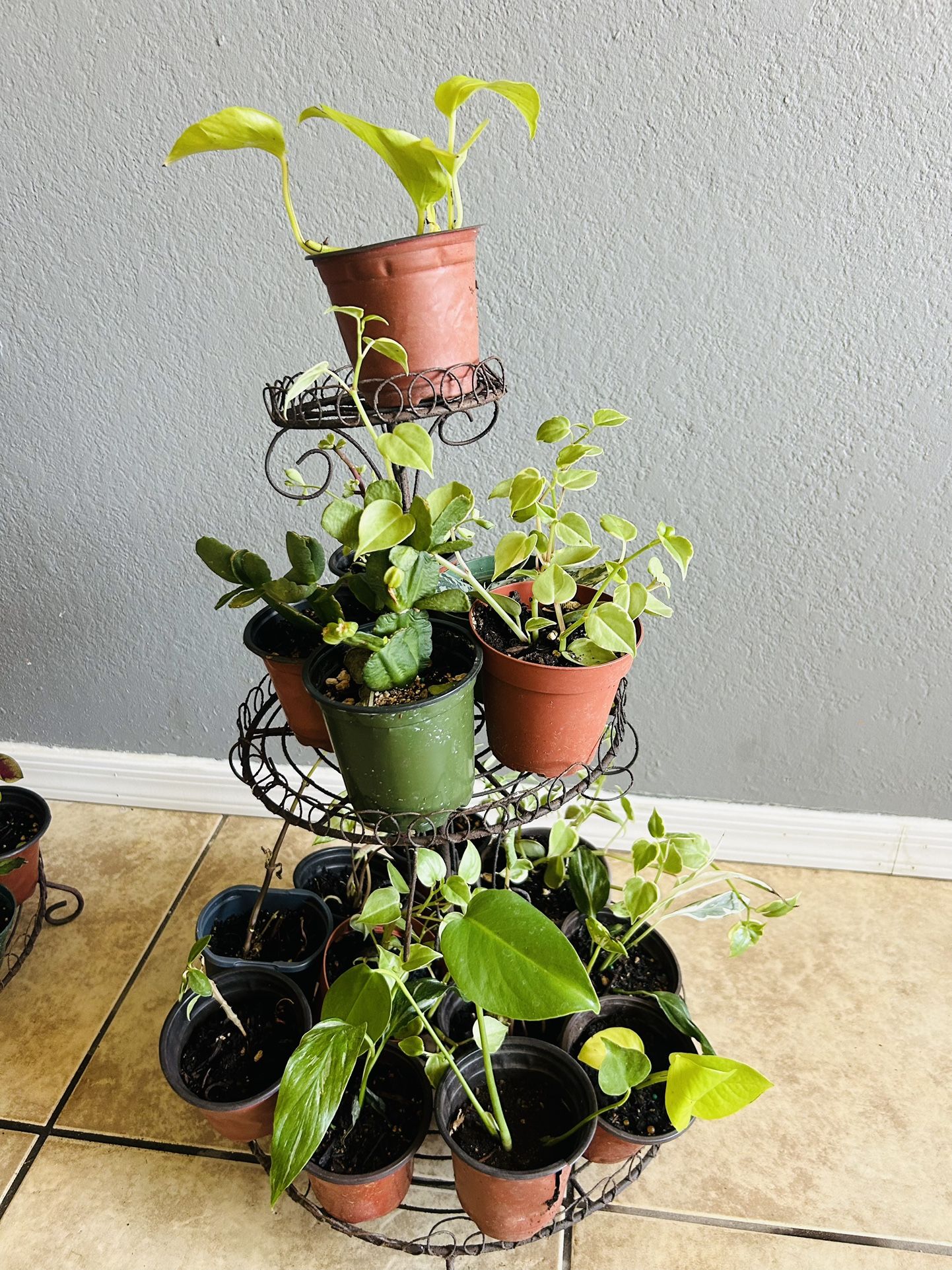 Plans For Sale 5 Each