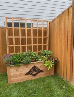 Cedar wood planter