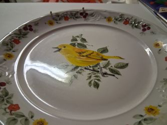 White Plate