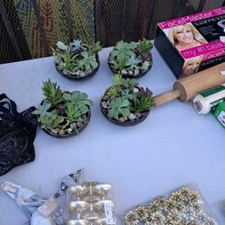 Mini Succulent Garden
