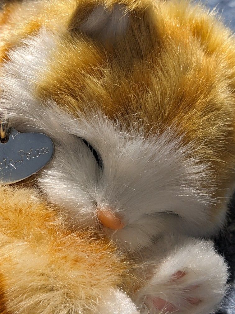Perfect Petzzzz Kitty