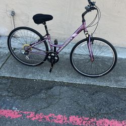 Diamondback Edgewood 24 Speeds Hybrid Women’s Road Bicycle 