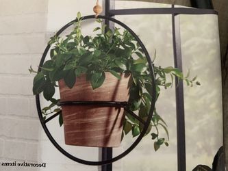 Plant holders