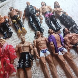 WWE Action Figure 