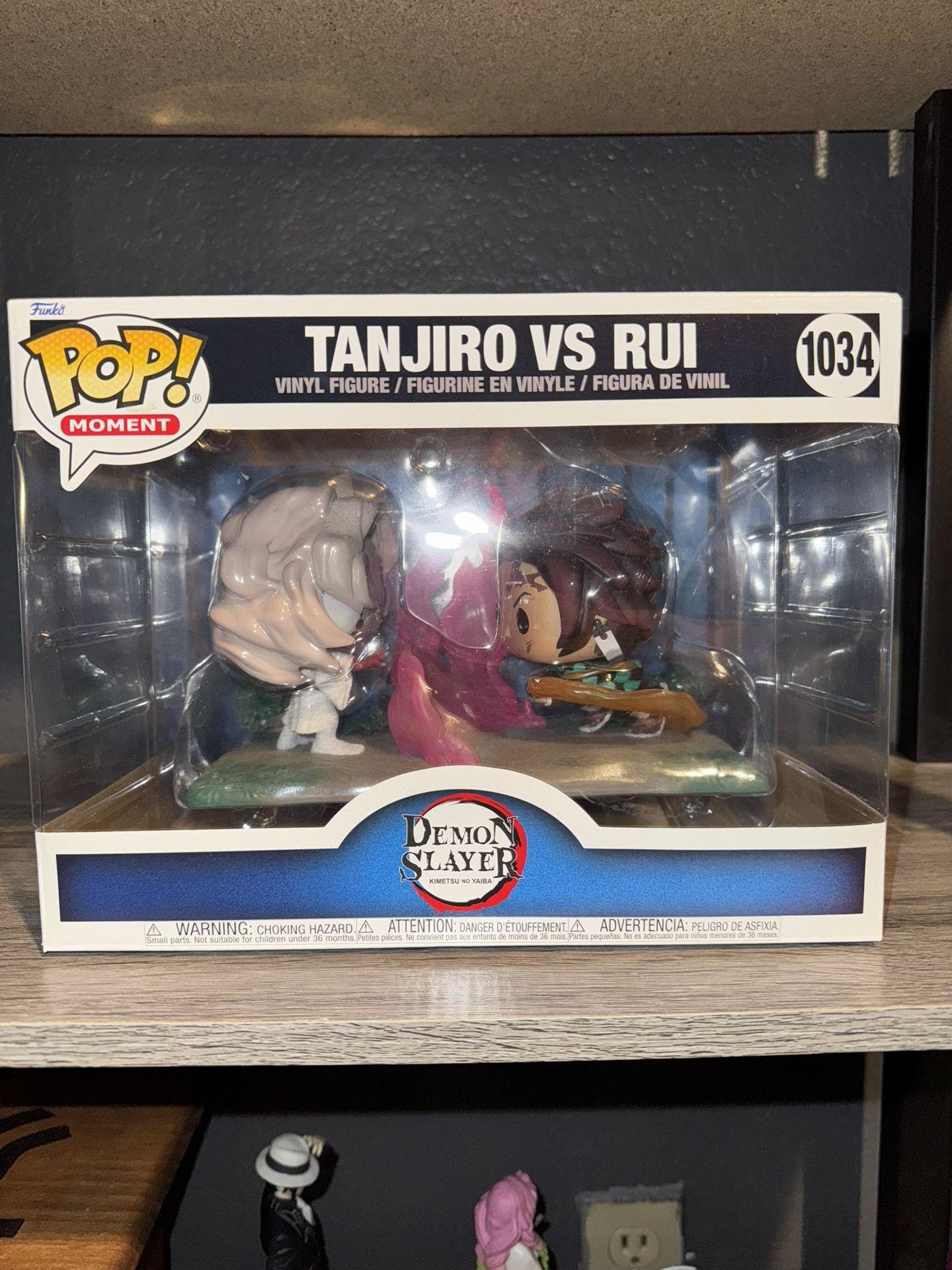 Tanjiro vs Rui