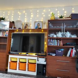 Book Shelves/TV Stand