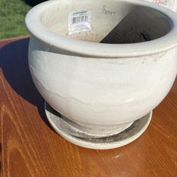 Ceramic Plant Pots 