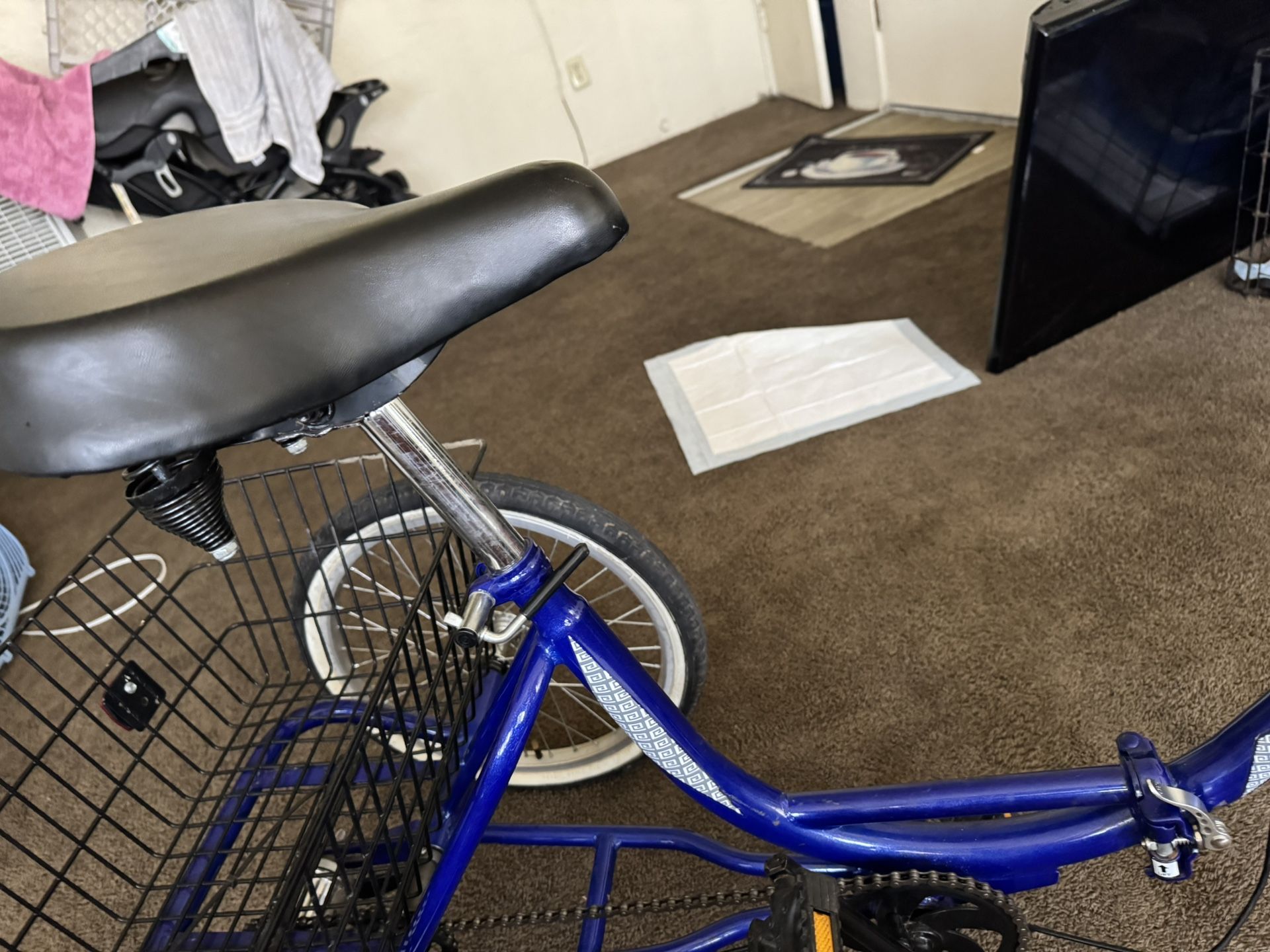 Adult Tricycle Foldable