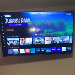 65” Vizio Smart TV with Wall Mount