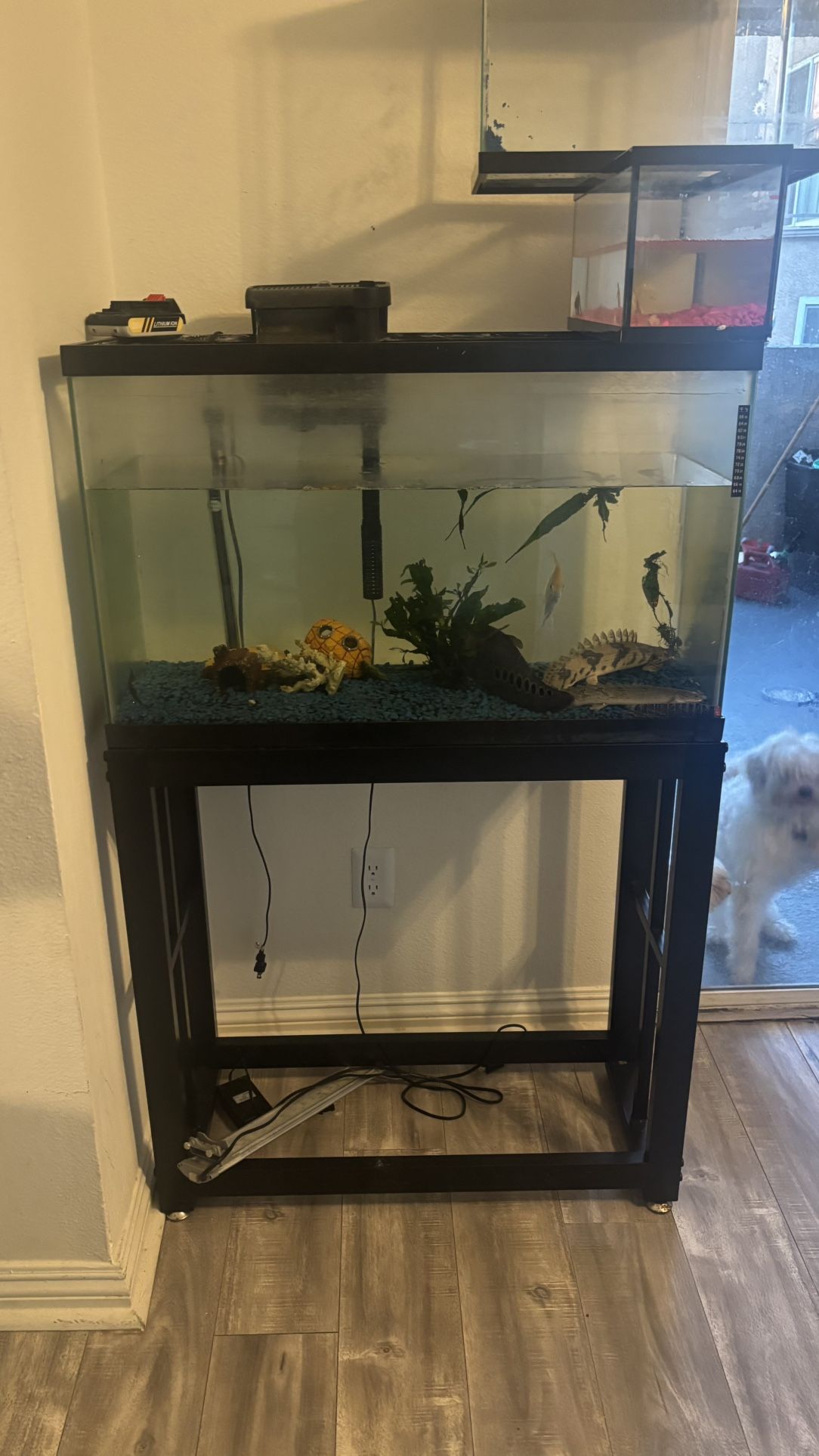 30 Gallon Fish Tank