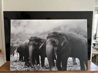 Elephant Canvas wall art