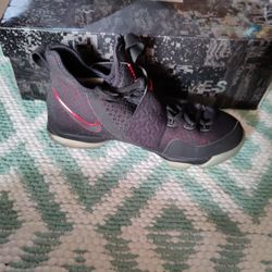 LeBron James Basketball Shoes