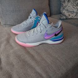 LEBRON JAMES Basketball sneakers . Size 12 Men's/ 11 in Women 