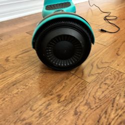 Flying Ant Hoverboard 
