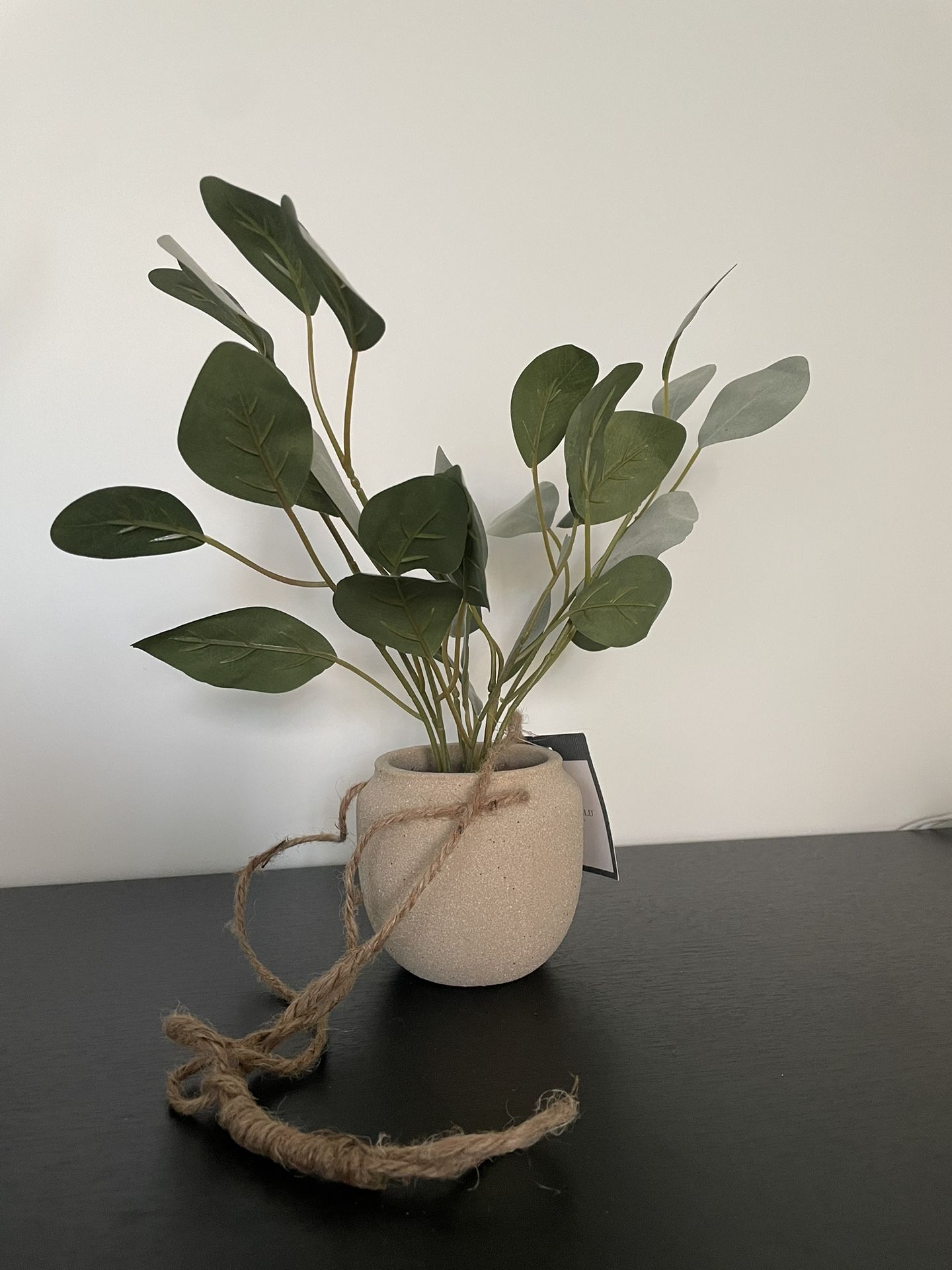 Small Fake Hanging Plant 