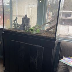 Pet Tank 