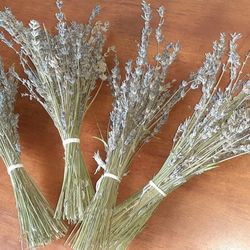 Dried English Lavender Bouquet (ORGANIC, NO PESTICIDES), 10 Inches.