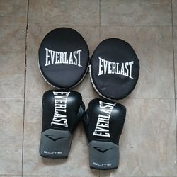 Everlast Boxing Gloves + Focus Mitts (Training Bundle)