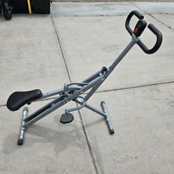 Sunny Health & Fitness Row-N-Ride Squat Assist Trainer