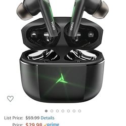 Wireless Earbuds (brand New)