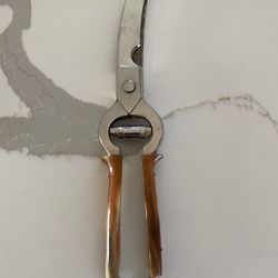 Vintage E Gierling Solingen Poultry Scissors Shears. In Good Condition