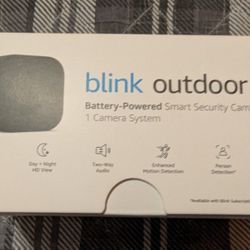 Blink Outdoor Indoor Security Camera With Synch Module Record Video