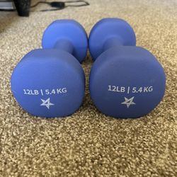 12lb Dumbbells 