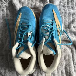 Nike Zoom Freak 4 Men’s Size 14 – Blue / Cream (Giannis)