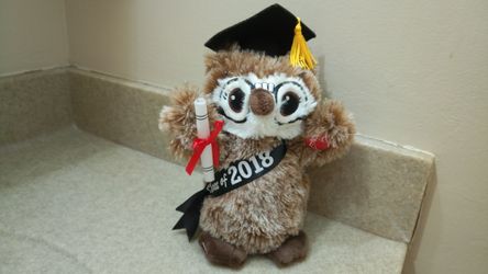 DANDEE CLASS OF 2018 GRADUATION SHAKING OWL SINGING BEST DAY OF MY LIFE