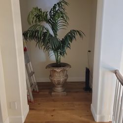 Fake Palm With Plant 