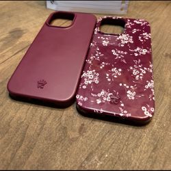 iPhone 16 Pro Max Cases