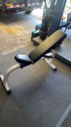 Workout Adjustable Bench