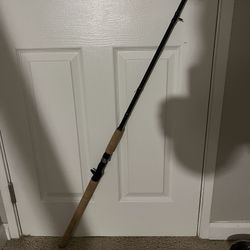 Daiwa Swim bait Casting Rod