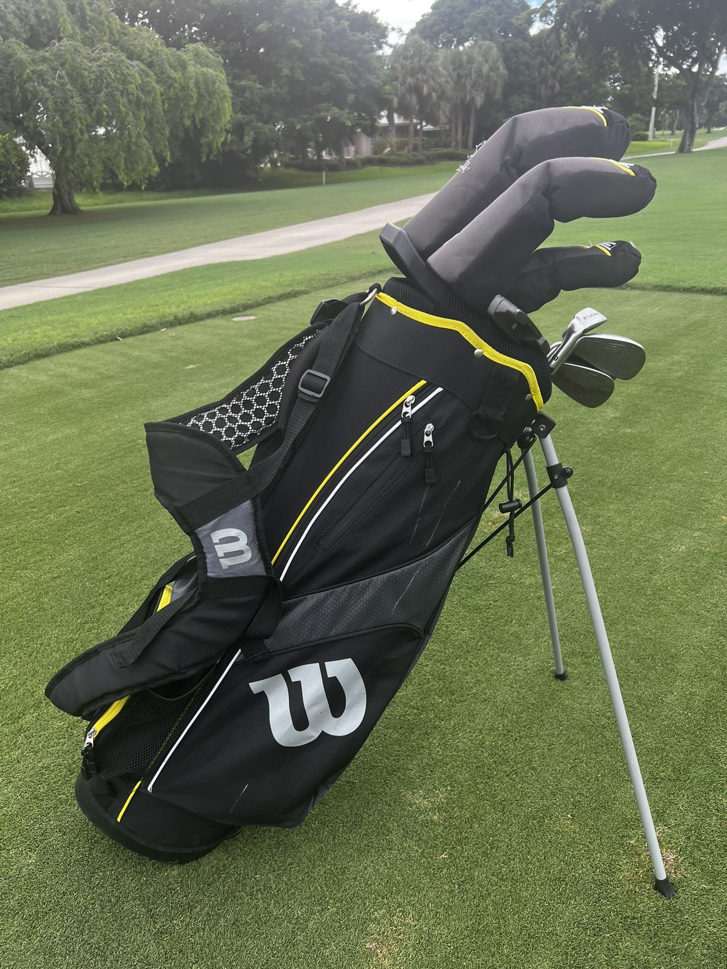 WILSON Men's Profile SGI Complete Golf Club Package Set