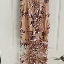 Rose Gold Sequin Dress (size Small)