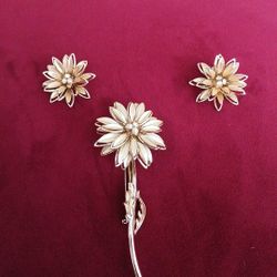 Flower Brooch And Matching Clip On Earrings.
