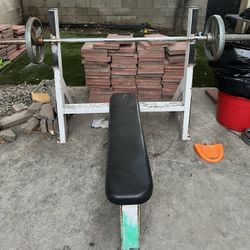 Bench Press