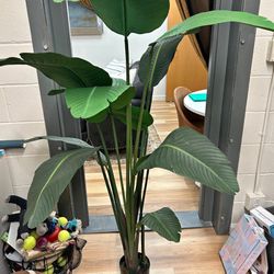 Faux Banana Leaf Plant 5ft