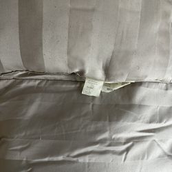 Queen Comforter And Matching Pillow