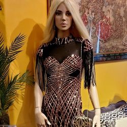 Sequin Fringed Dress 