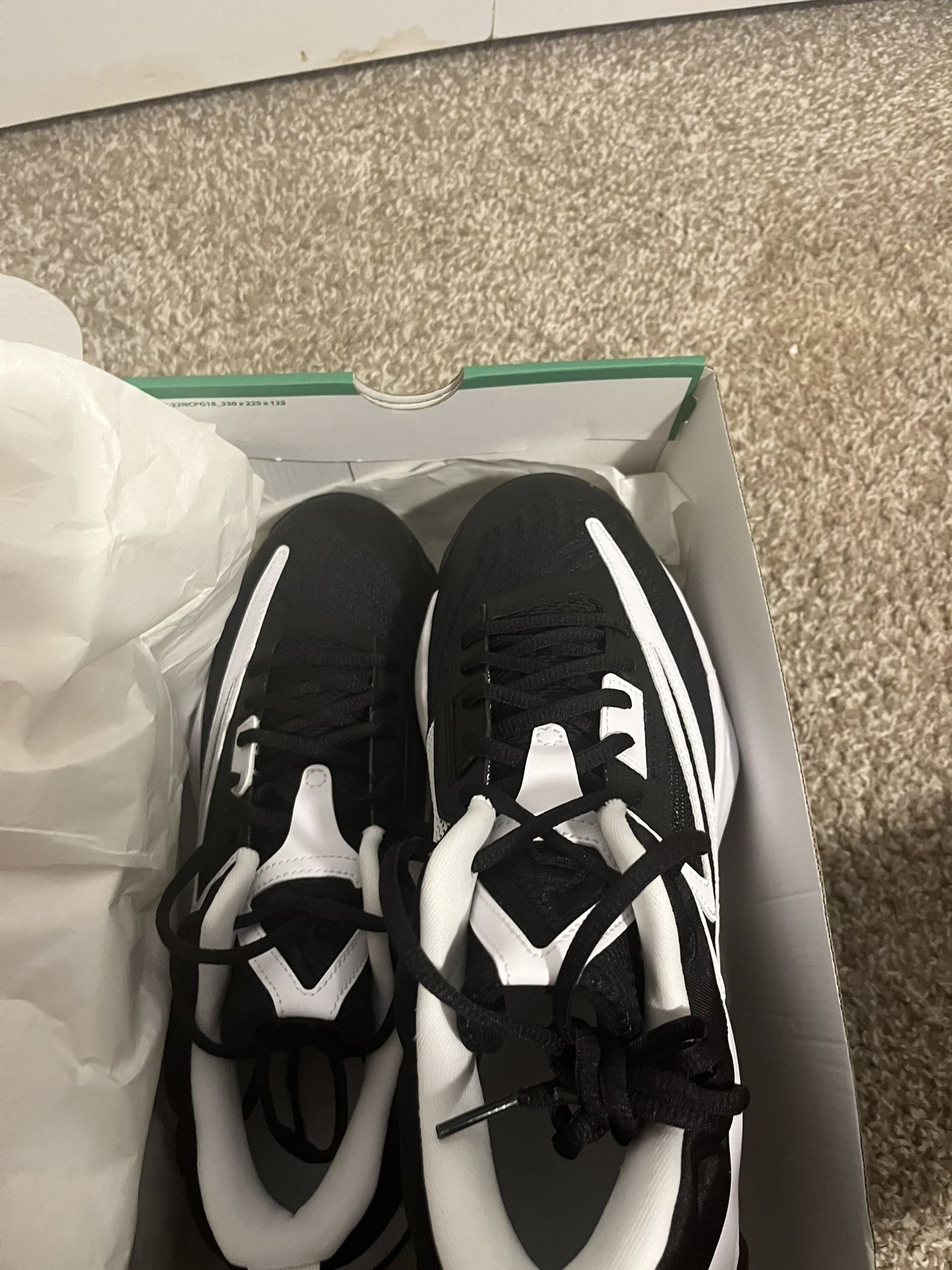 Giannis Immorality 3 Never Worn Brand New 10/5 Men 50$